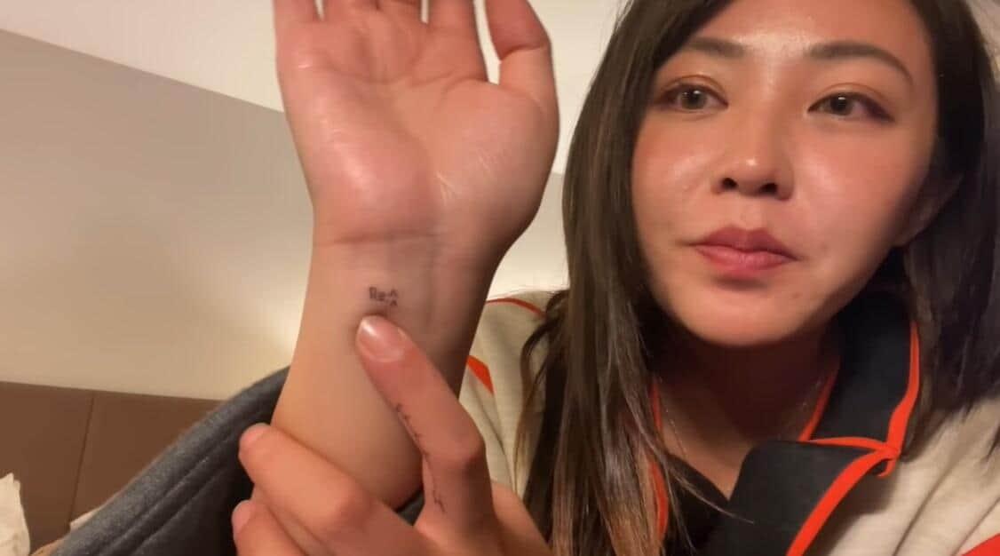 てんちむさんのYouTube動画より