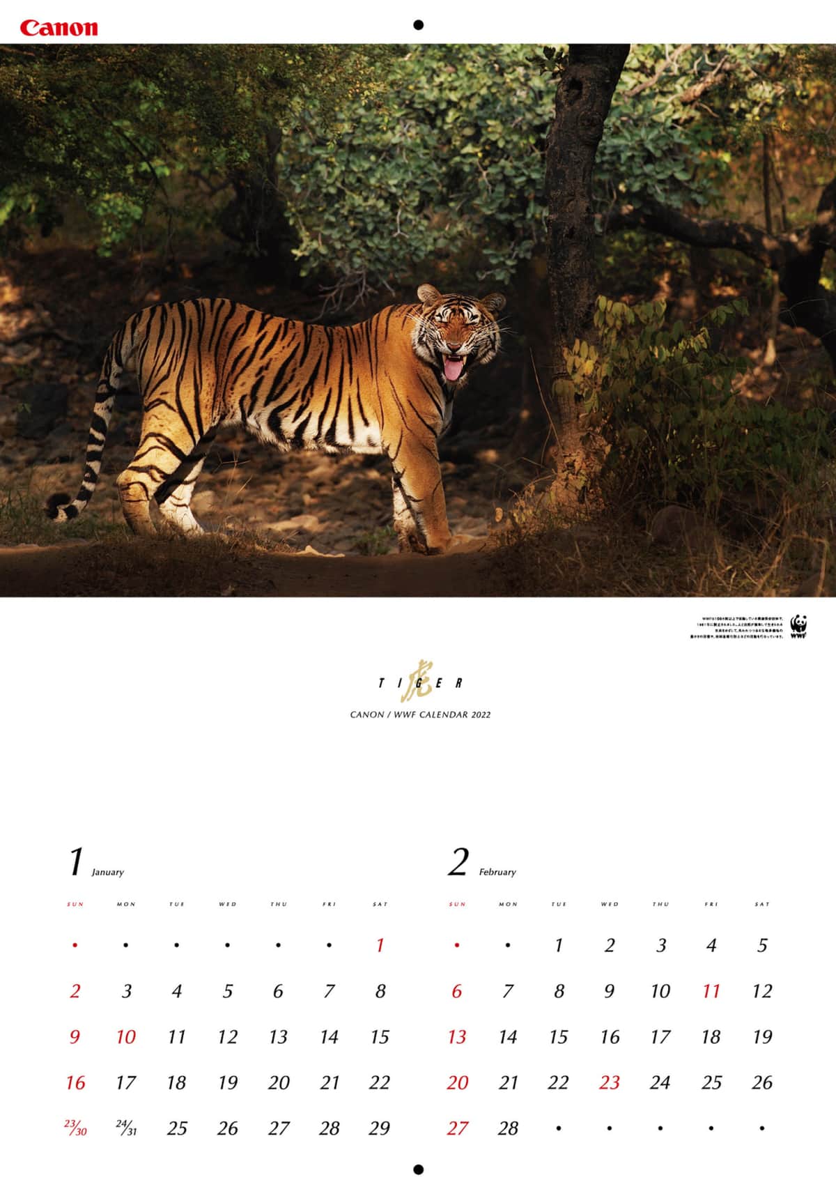 岩合さんもお気に入りの1枚