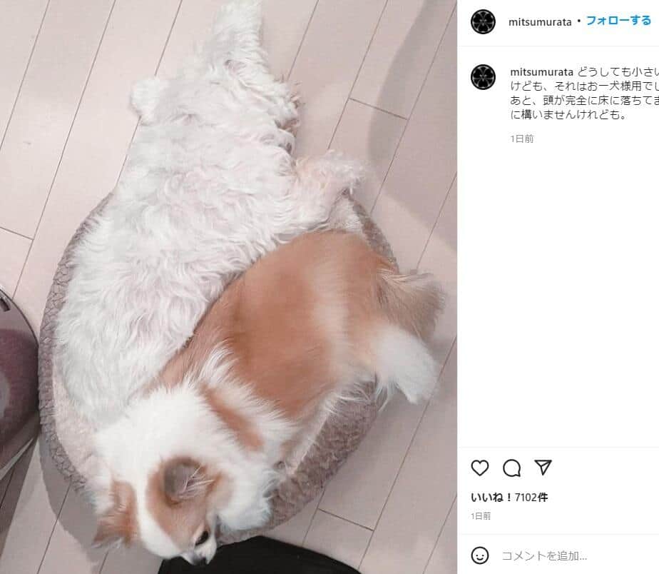 村田充さんのインスタグラム（＠mitsumurata）より