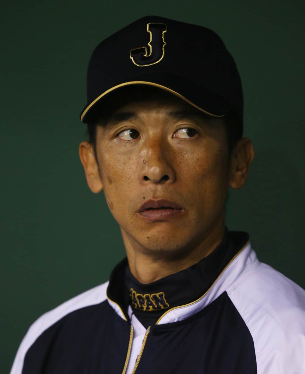 今季限りでの退任を表明した阪神・矢野監督（2014年／写真：アフロスポーツ）