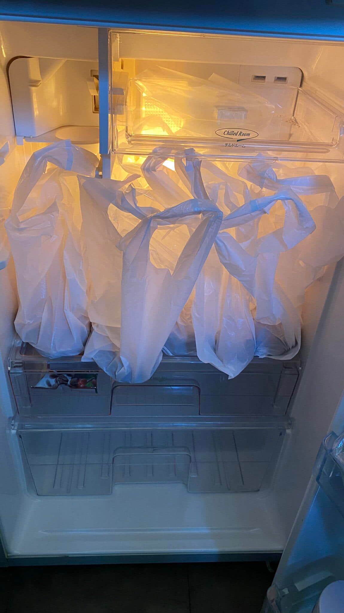 冷蔵庫いっぱいのナマコ