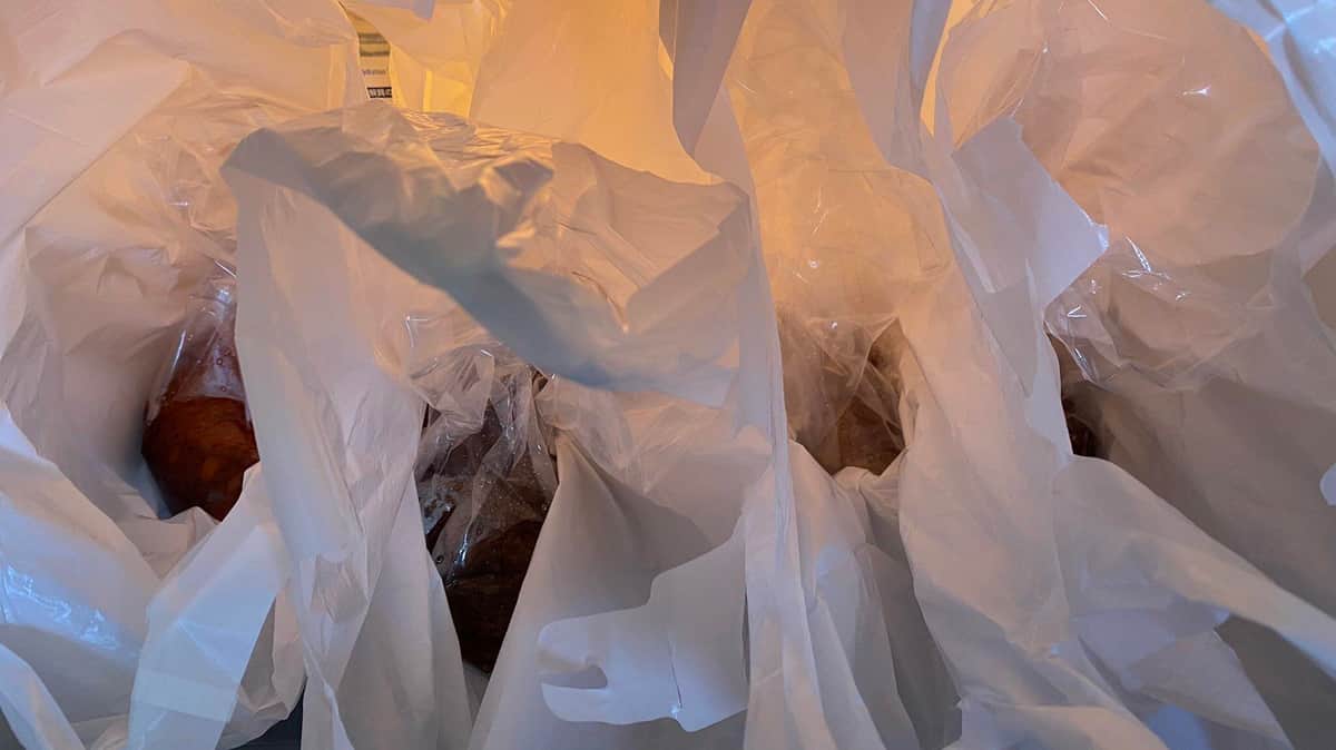 新鮮なナマコだった