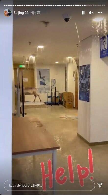 リリンペラ選手のインスタグラム（@katrilylynpera）ハイライト「Beijing22」より