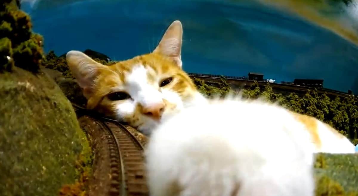 。山間部を走り抜けたジオラマ鉄道の行き先を、巨大な猫が遮る
