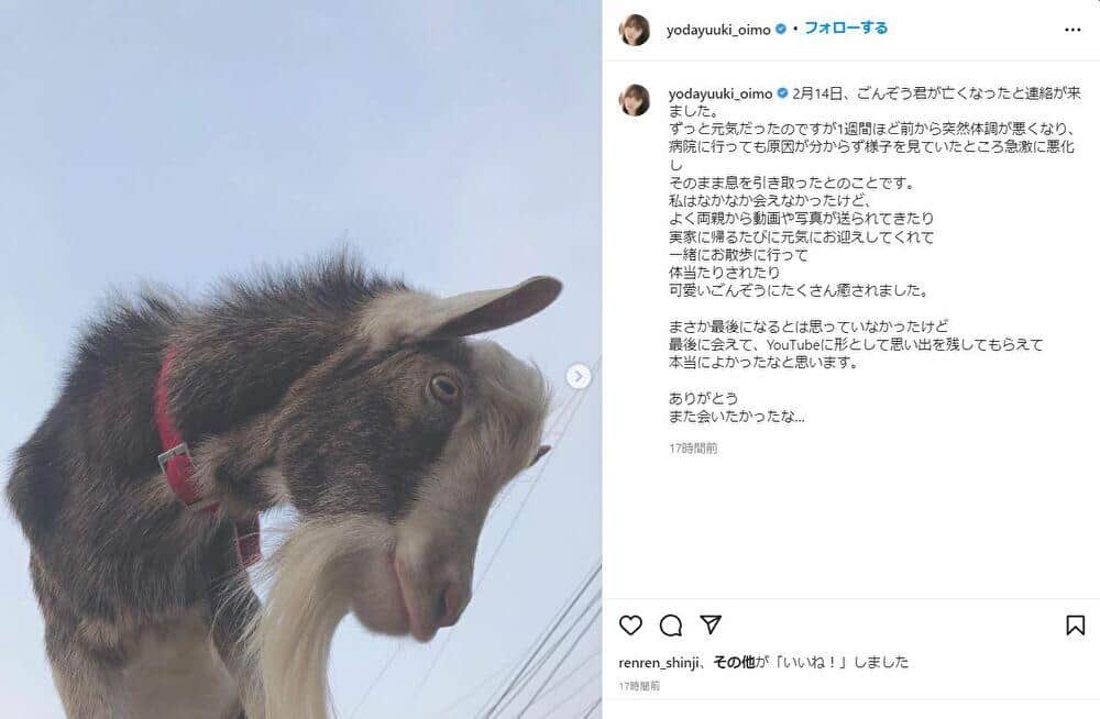 ごんぞうの訃報を報じたインスタグラム投稿