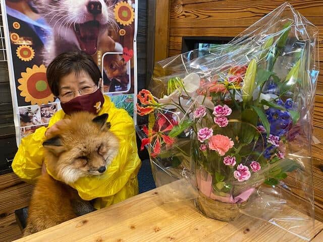 生前のゴロくん（蔵王キツネ村提供）