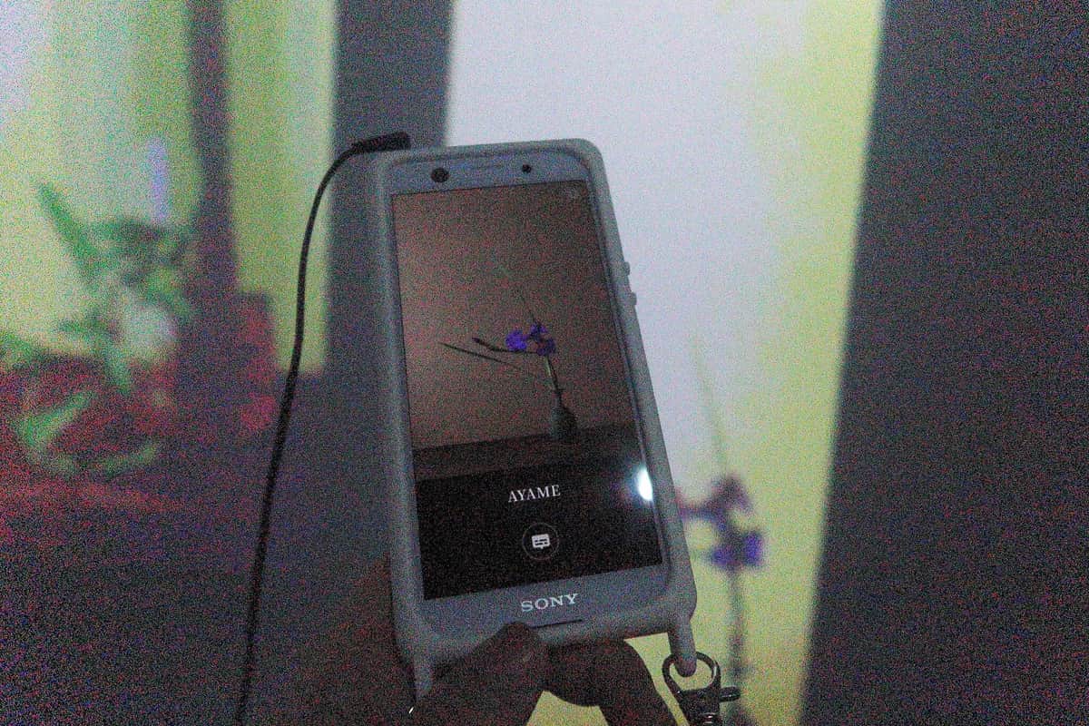 スマホに映る自分の「アバター」を見ながら館内を歩く