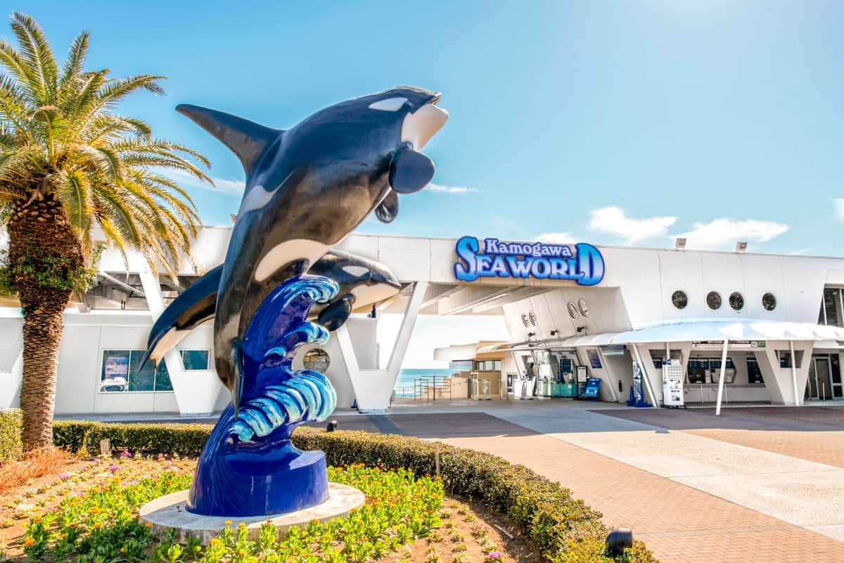 提供：鴨川シーワールド