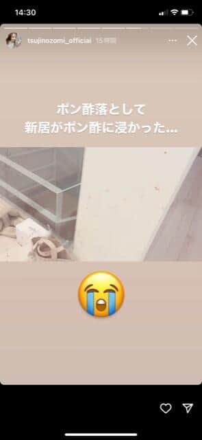 辻希美さんのインスタグラム（＠tsujinozomi_official）より