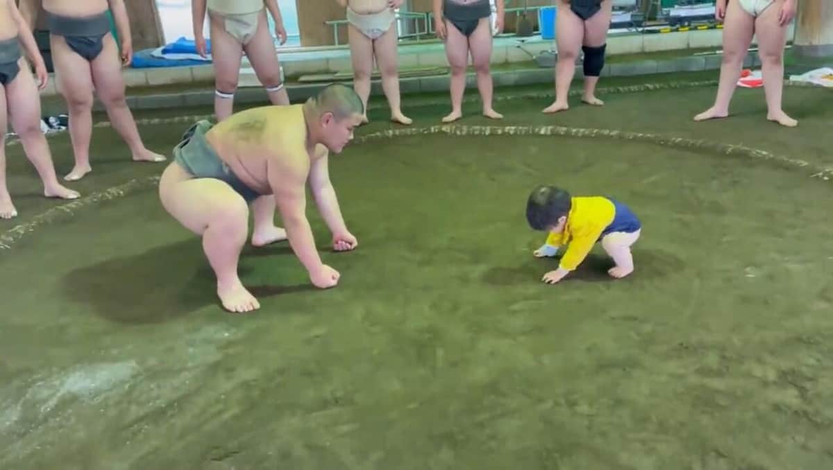 1歳の「素敵な豆力士」が巨大な相手に勝った！　「良いやられっぷり」ほっこり相撲動画に28万いいね