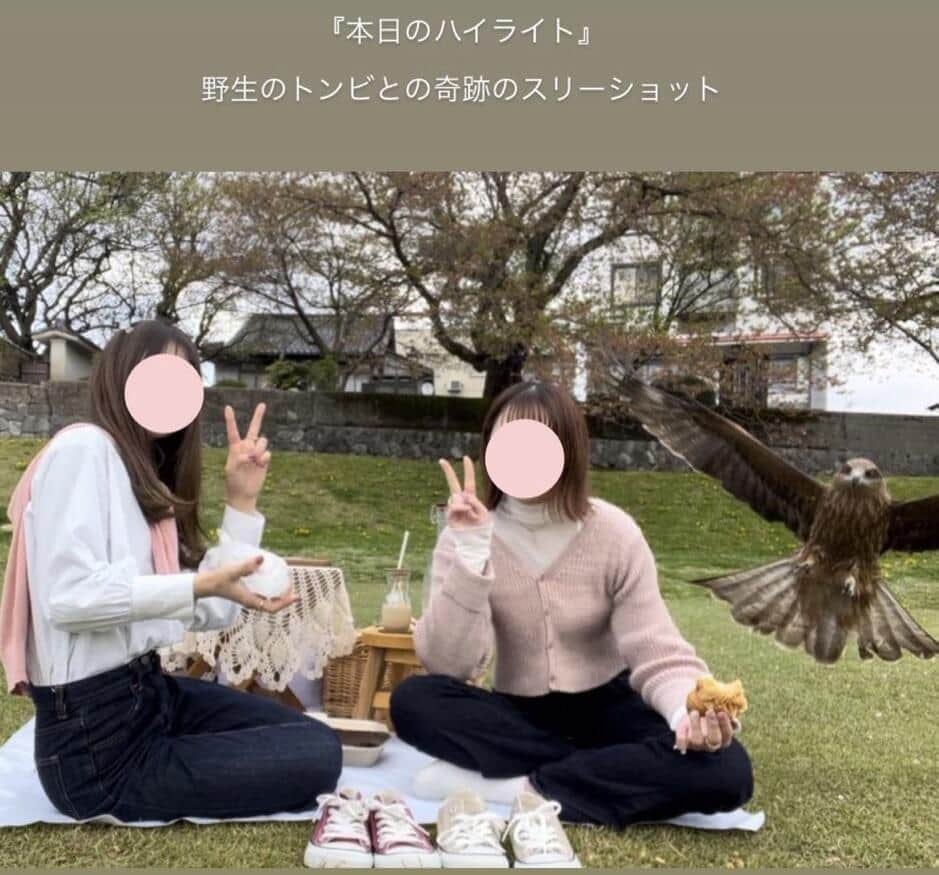 「合成みたい」ピクニック写真にまさかの乱入者　姉妹が語る「奇跡のスリーショット」撮影秘話