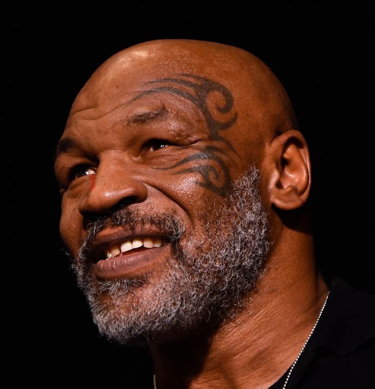 マイク・タイソン、絡み続ける男性殴って流血騒ぎ　米報道に衝撃「暴力ダメ」「絡む神経分からん」