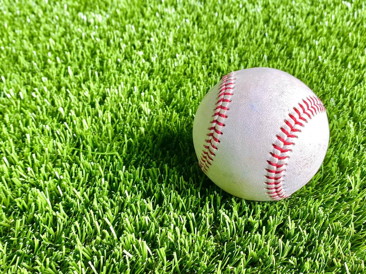 観客制限撤廃も...ガラガラのプロ野球　コロナ前の約7割、一体なぜ？識者「応援の醍醐味失われたまま」