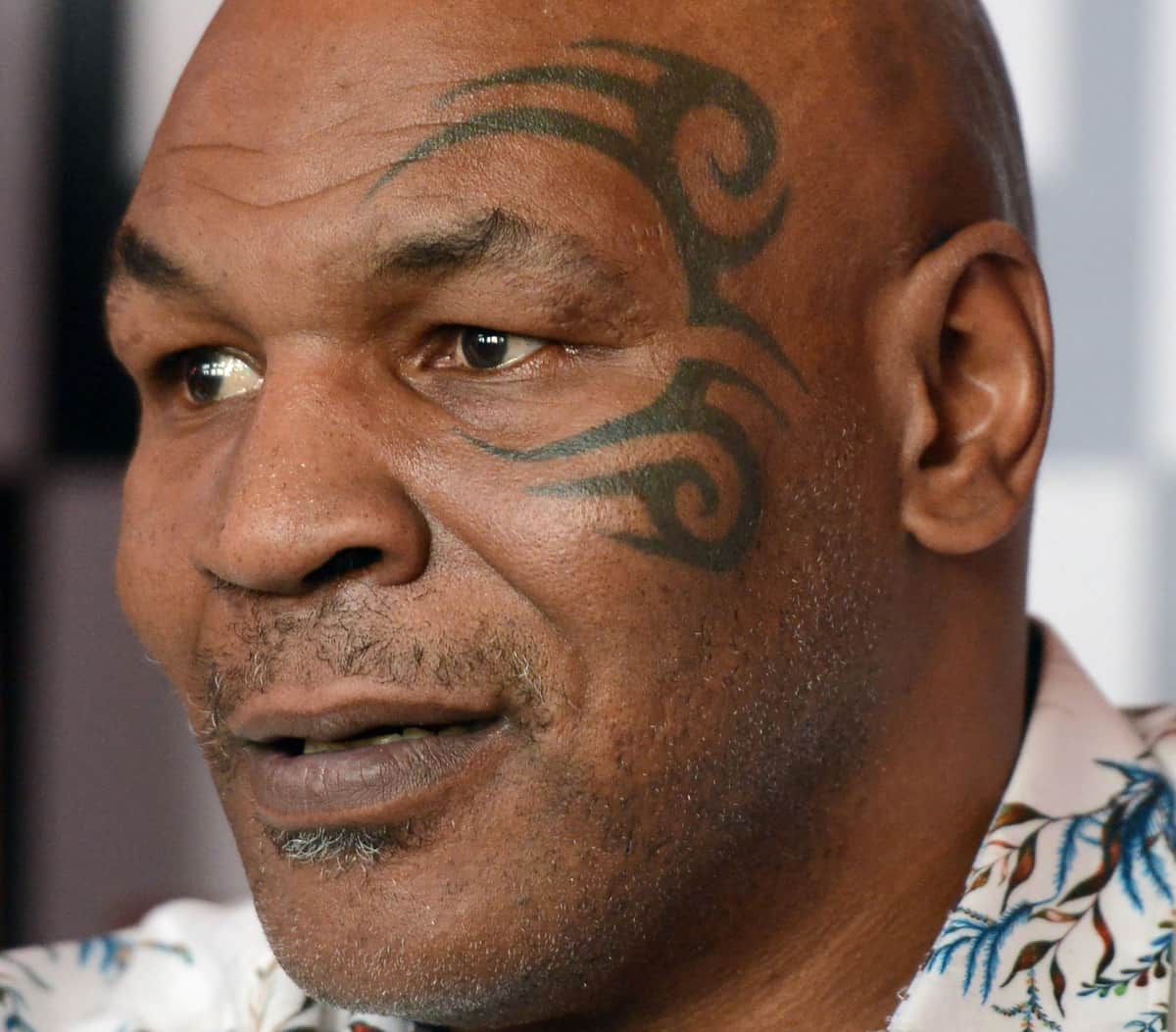 マイク・タイソンは「もっと自制すべきだった」　流血騒動、被害者が「弁護士雇った」と米国報道