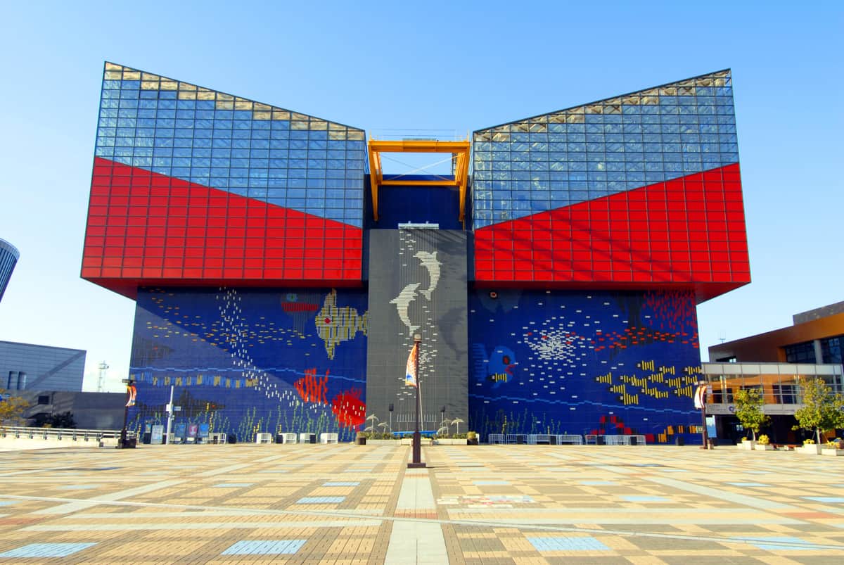 写真提供：海遊館