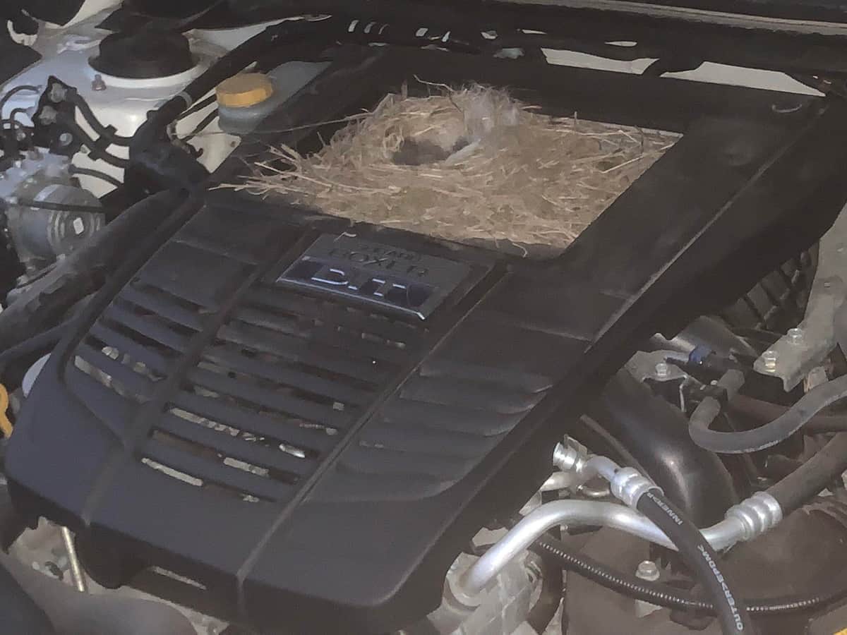 ツイッターユーザー・鈴木尊え（@tkykszk_36）さんの投稿より