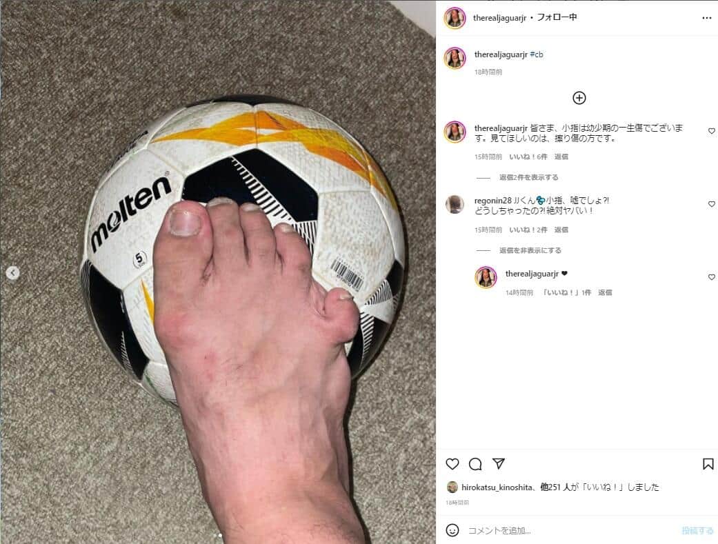 大維志さんのインスタグラム（＠therealjaguarjr）より