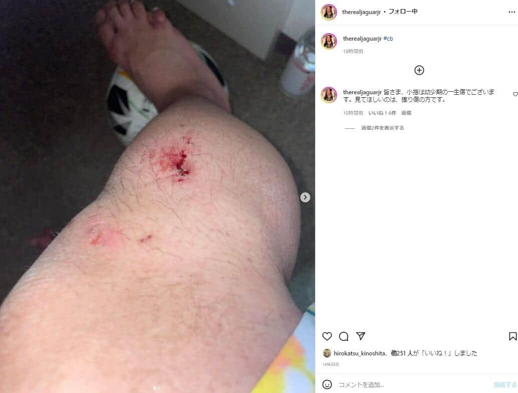 大維志さんのインスタグラム（＠therealjaguarjr）より