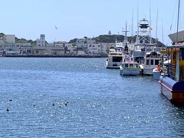 「マグロ漁船員」ってどんな仕事？　「大卒にも人気」報道でネット注目...経験者に聞いたその実態