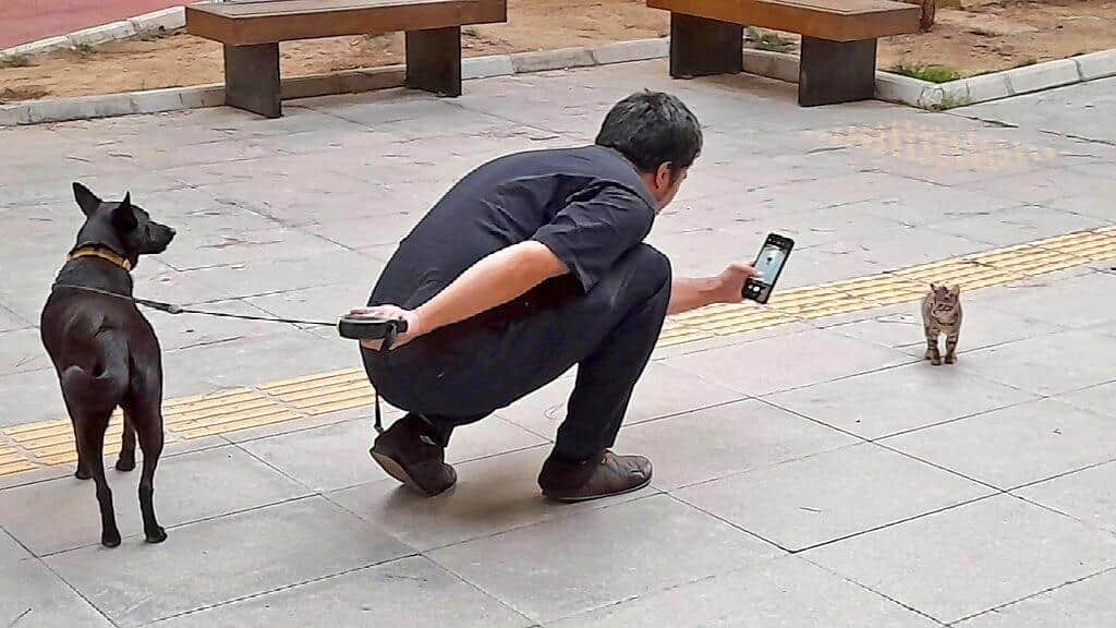 ツイッターユーザー・池畑（@dot_kyomu）さんの投稿より