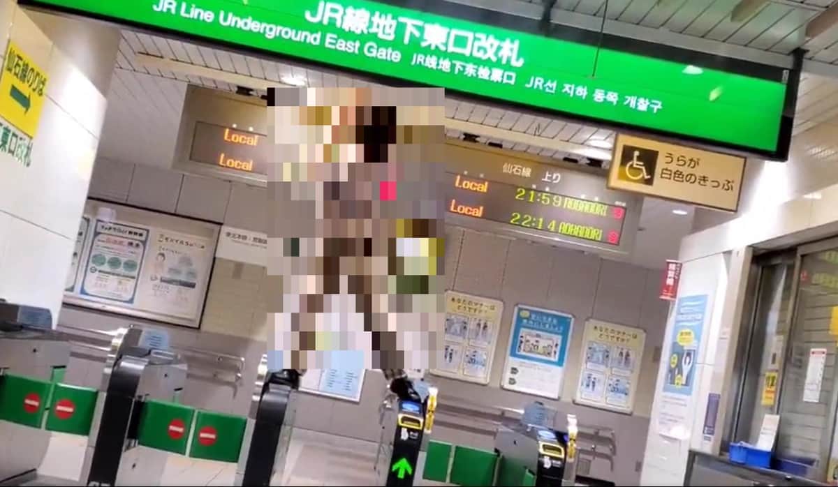 自動改札機の上にまたがる男性（ツイッター投稿の動画から）