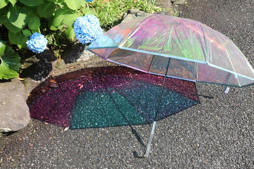 きらきら光る「ホログラム傘」ブーム拡大　異例ヒットにメーカーも驚き...若者人気の背景は