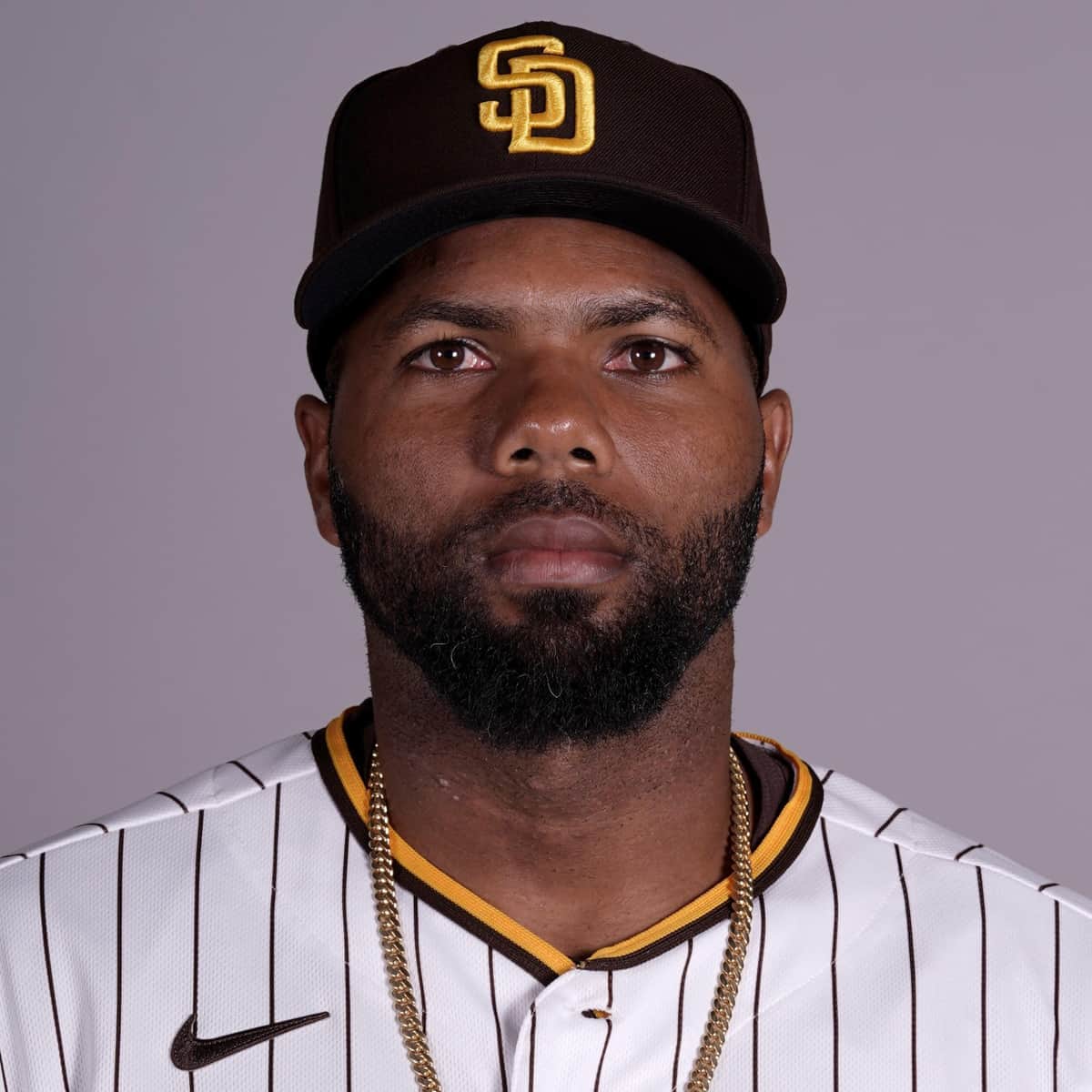 阪神に新外国人・ロドリゲス加入も...識者指摘「使うポジションがない」　起用法どうなる？