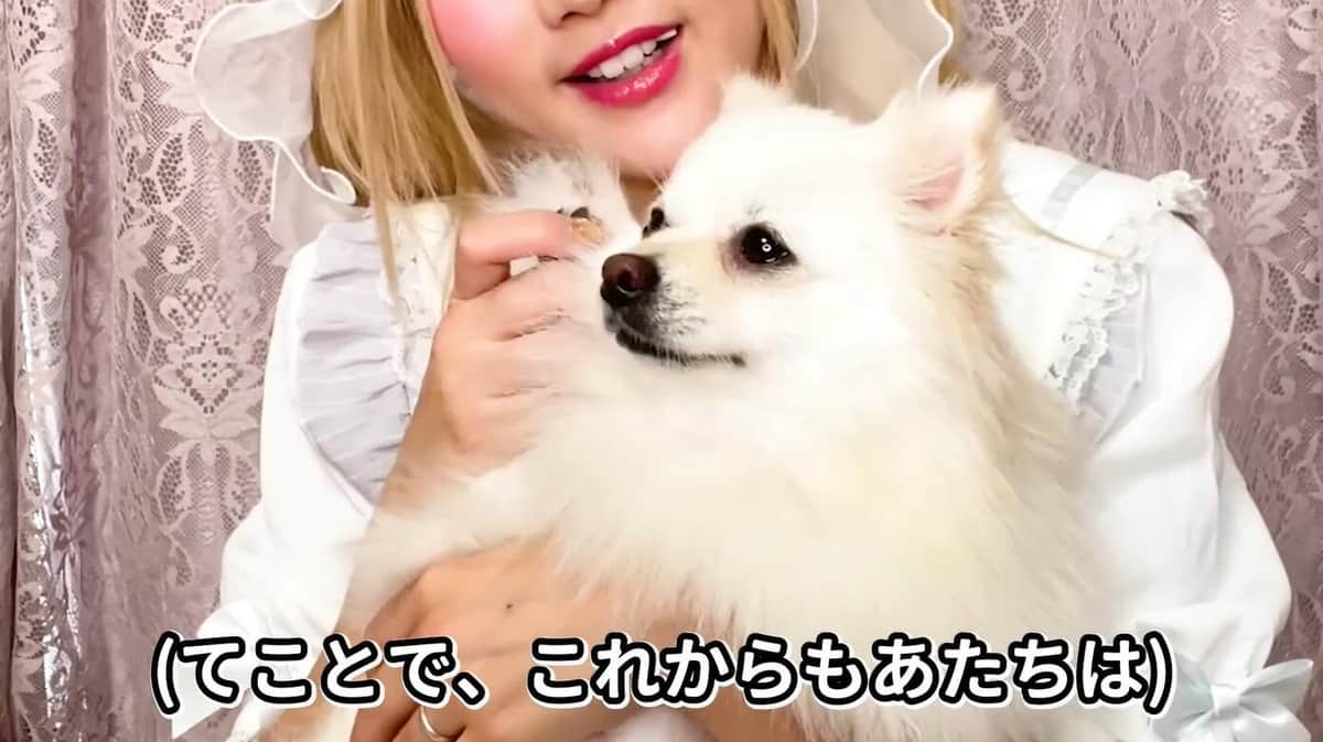 YouTubeチャンネル「chiimeloちいめろ」の動画より
