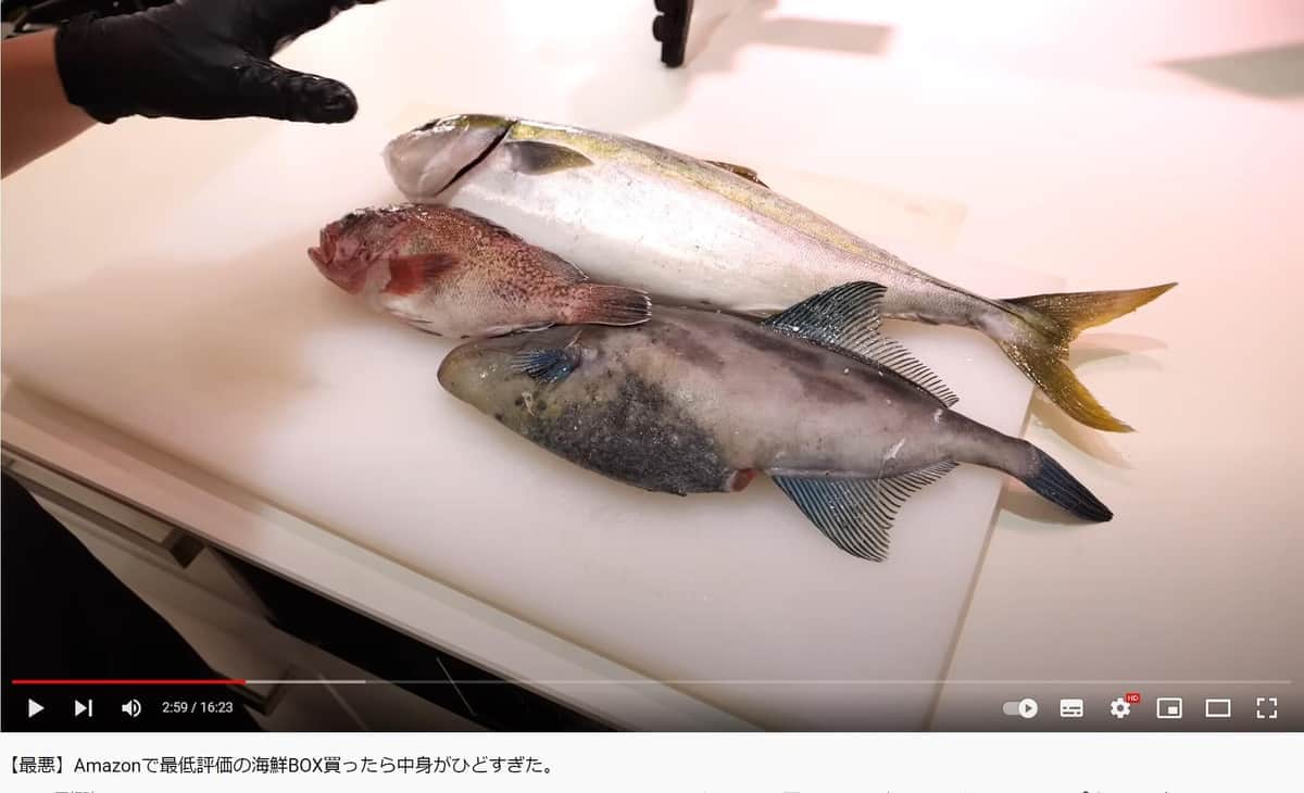 「きまぐれクック」ユーチューブチャンネルより