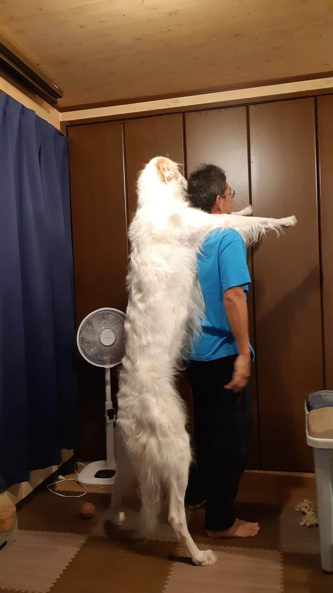 立ち上がると、身長177センチのちちり。さんと同じくらいの高さに