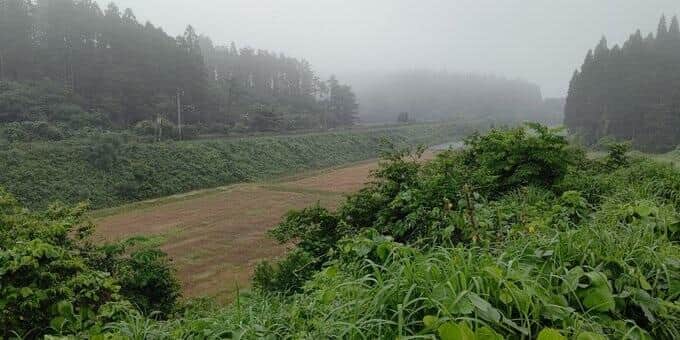 私有地で爆走＆タバコポイ捨て...注意するも「パイロンぐらい置けよ」と逆ギレ　「撮り鉄さんへ」地主が看板設置する事態に