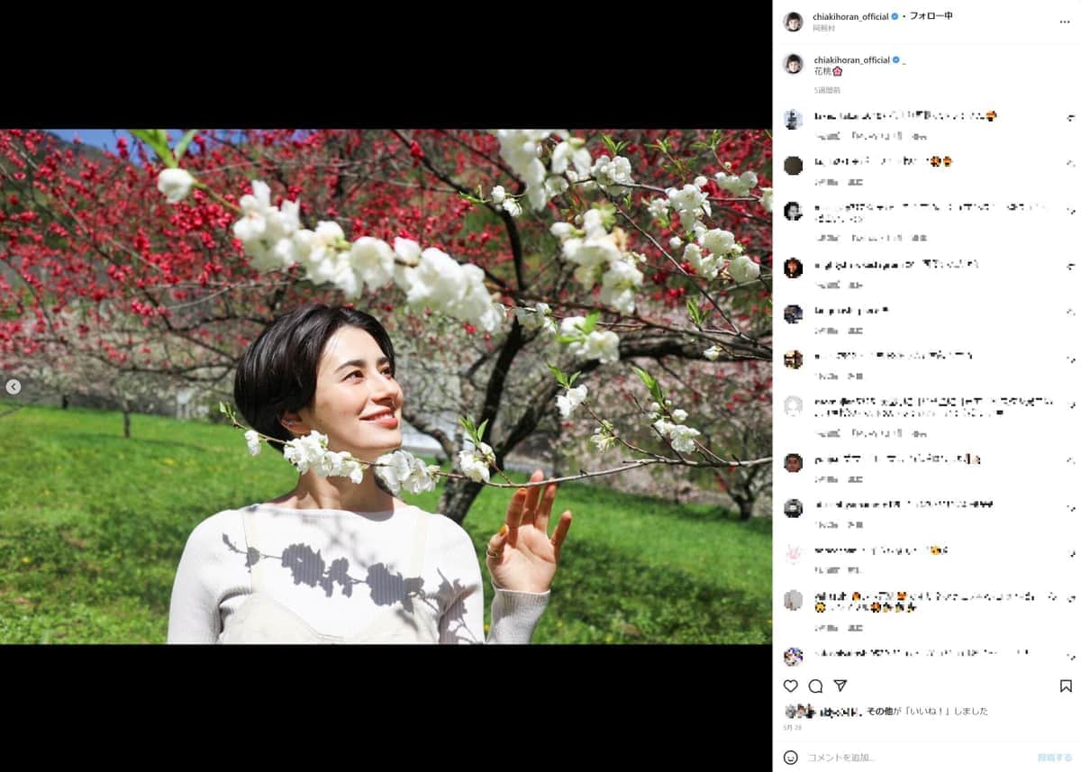 ホラン千秋の豪快すぎる「ハードコア弁当」を料理研究家が絶賛　「好感度うなぎ登り」「最高に愛おしい」ファンも納得