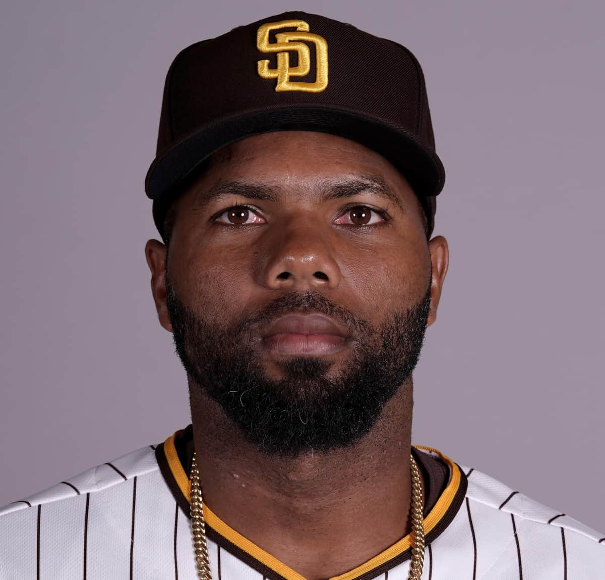 阪神ロドリゲス獲得も「どのポジションで起用するんですかね」 一塁は「大山悠輔の方が遥かに上」 JCAST ニュース