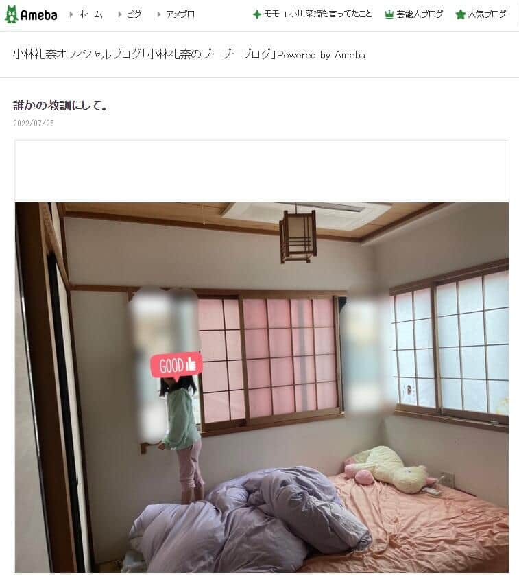 小林礼奈さんの自宅と娘。ブログより