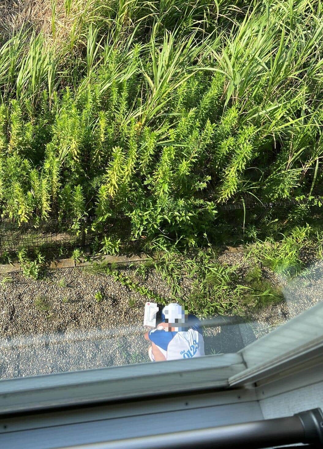 アート引越センター従業員の実際の様子（投稿者提供）（一部加工）