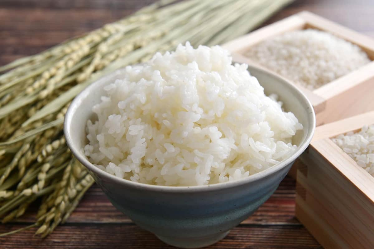 「日本の米はウマすぎてダメ」外国人シェフの意見に驚き　話題ツイートから見る「食文化の面白さ」