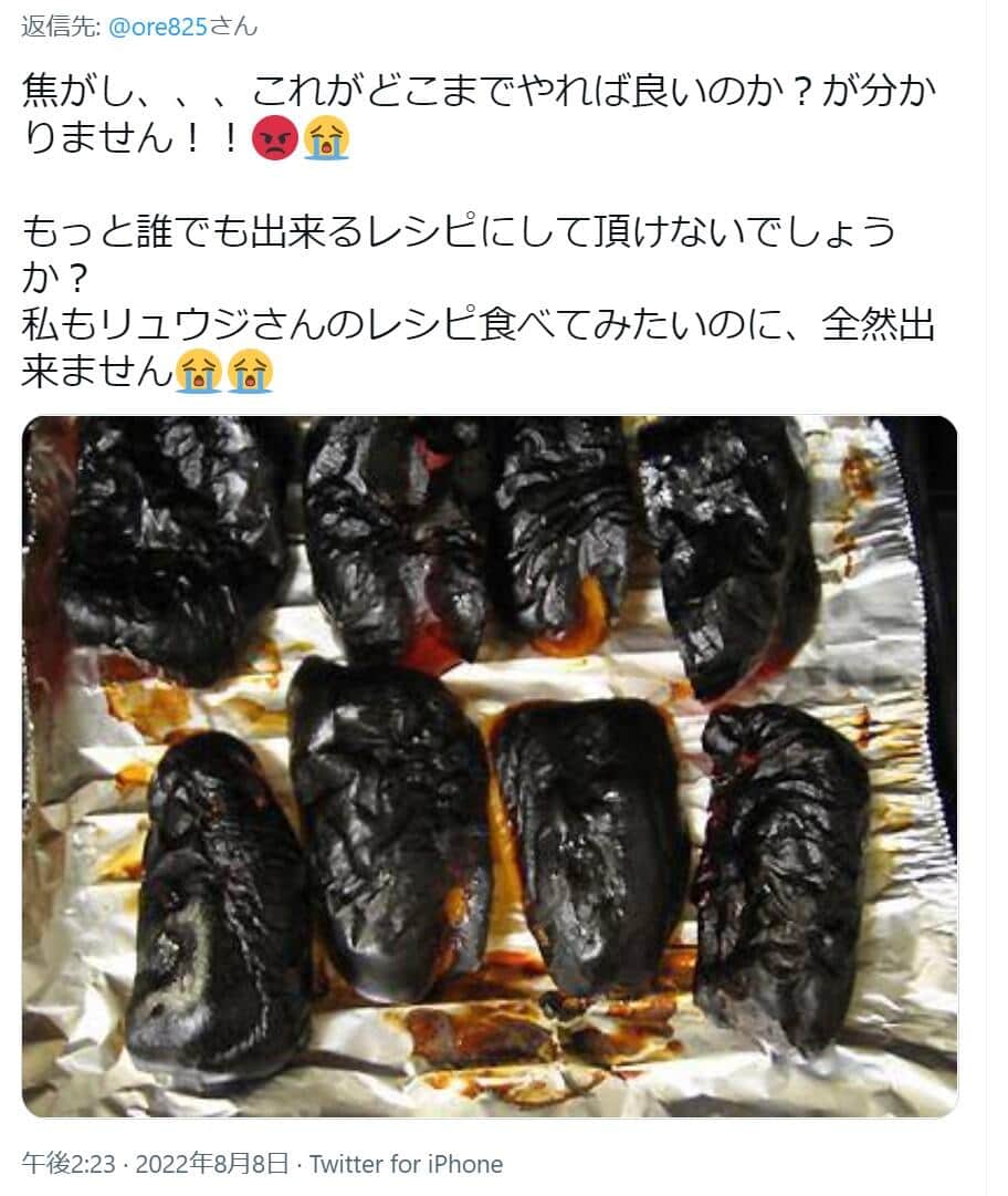 リュウジさんに寄せられたツイート