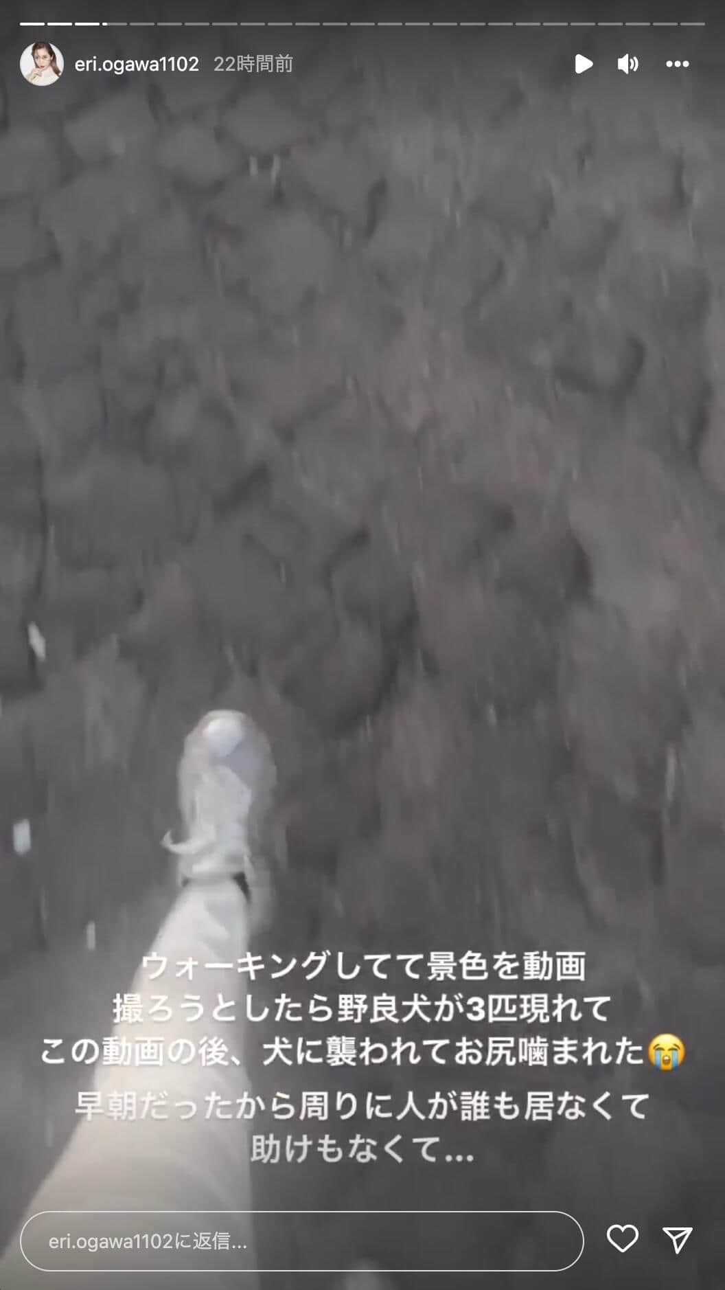 エンリケさんのインスタグラム（＠eri.ogawa1102）より