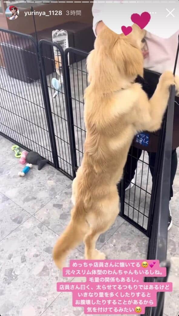 ゆりにゃさんのインスタグラム（yurinya_1128）より