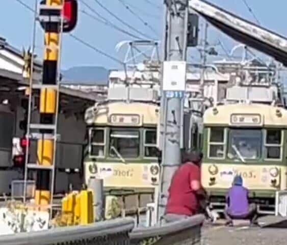 鉄道ファンの貸切運行でトラブル→4分間も踏切封鎖　停車中には「撮影会」も...広島電鉄が謝罪「適切でなかった」