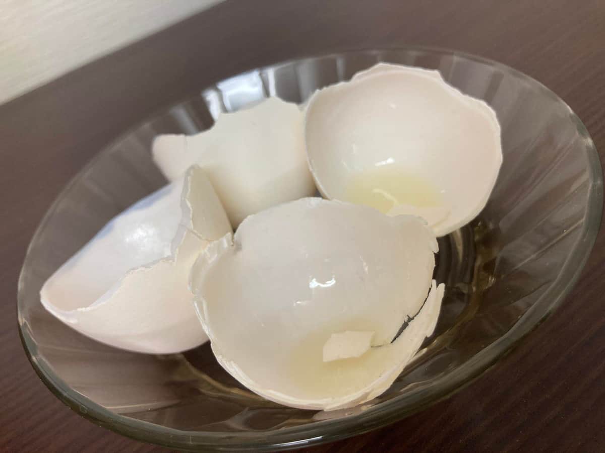 殻の製作は最も苦労したそうだ