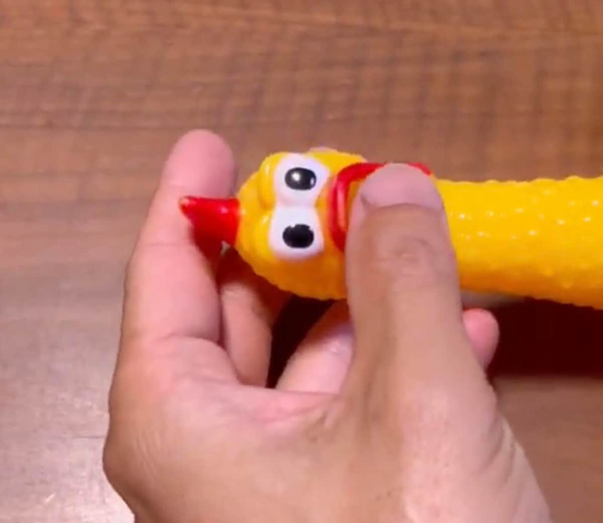 「パッパァ...マンマ...」びっくりチキンが喋った！　人気おもちゃ動画に450万再生「お腹痛くなるほど笑いました」