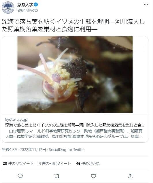 「可愛さが全身を強打しました」　京大発表にオタク構文？研究者コメント話題...掲載に本人「嘘でしょ」