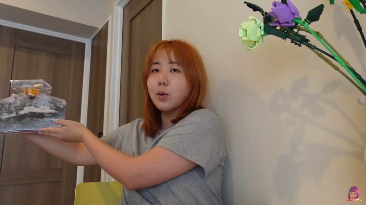 そわんわんさんが2022年8月13日に公開したYouTube動画より