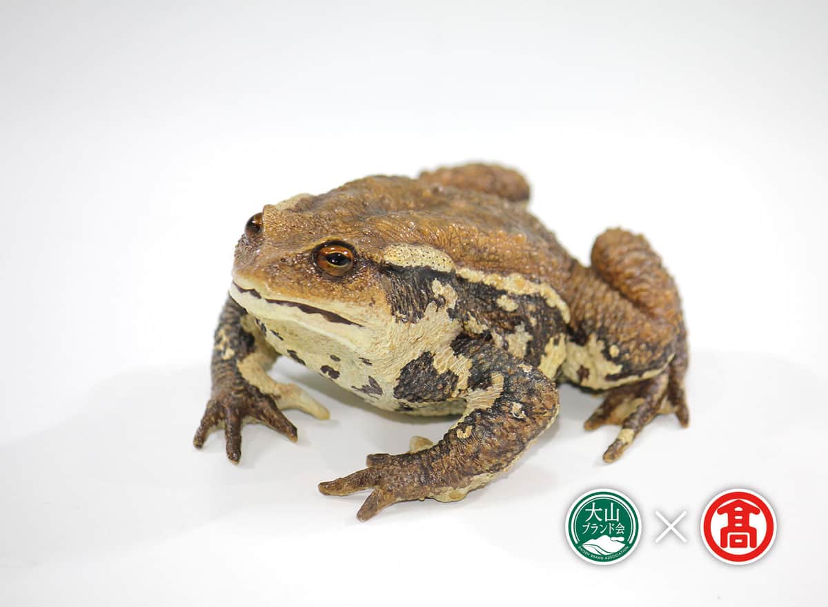 ニホンヒキガエルのレプリカ