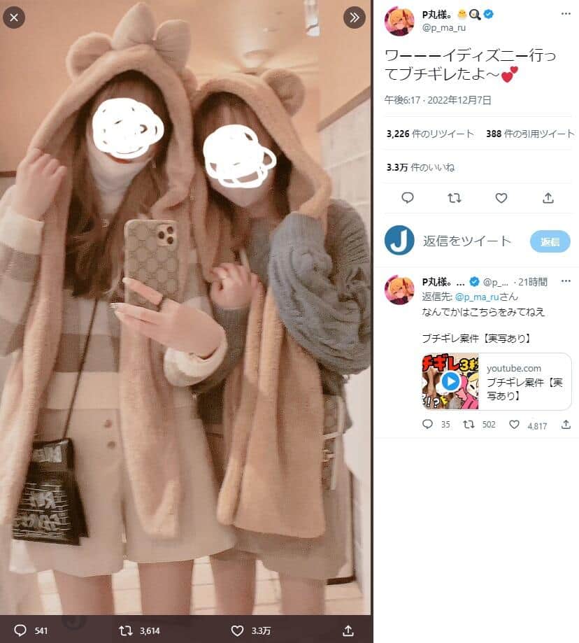 P丸様。のツイッター（@p_ma_ru）より