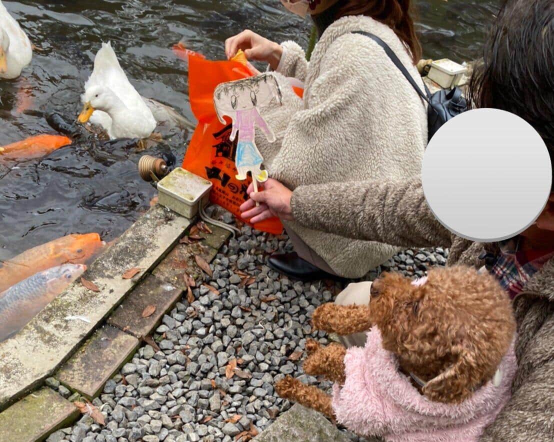 ツイッターユーザー・ハル（＠nameko__Q）さんの投稿より