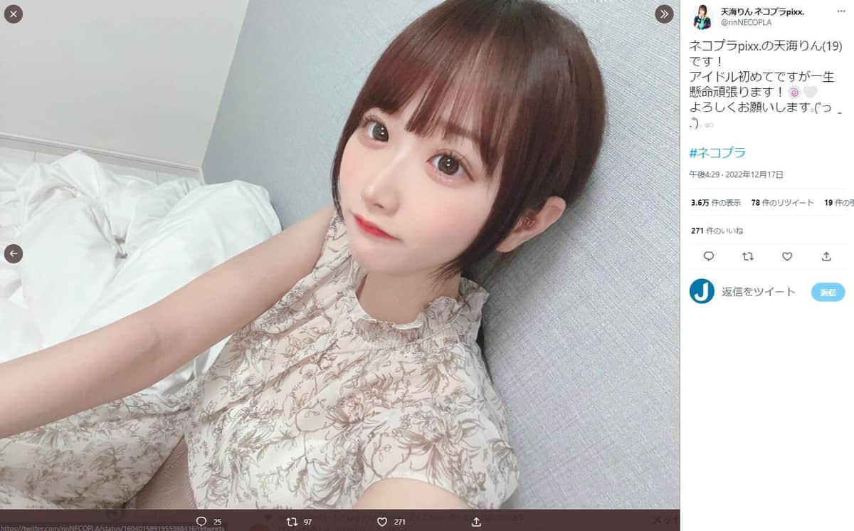 天海りんさんのツイッター（@rinNECOPLA）より