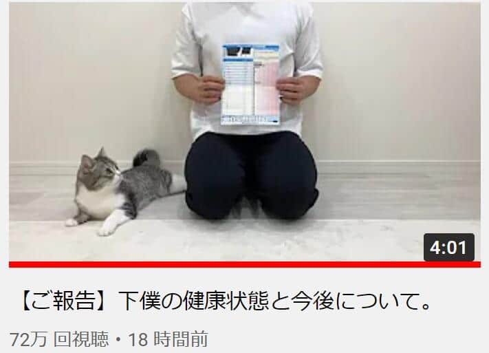 人気ネコ系YouTuberまさかの「猫アレルギー」告白　体に異変も「普通になでなでする分には問題ない」
