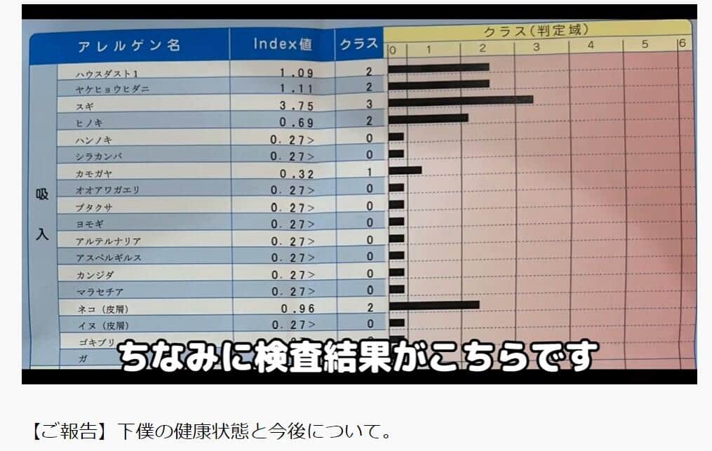  YouTubeチャンネル「もちまる日記」より